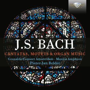 Cantatas, Motets & Organ , Musica Amphion