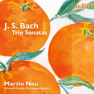 J.S. Bach: Trio Sonatas for Organ, BWV 525-530 , Martin Neu