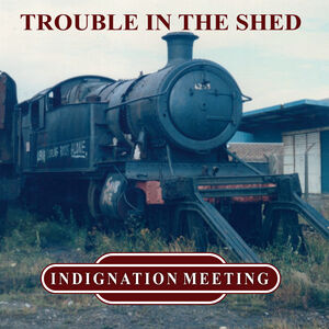 Trouble In The Shed