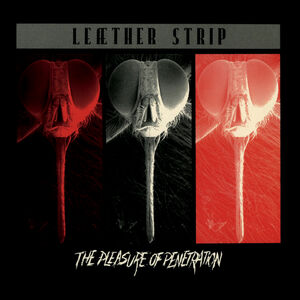 The Pleasure of Penetration , Leather Strip