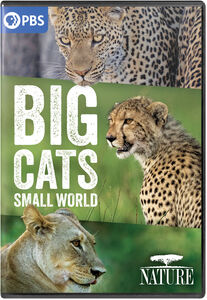 NATURE: Big Cats, Small World