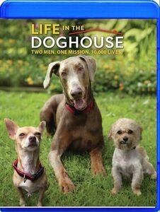 Life In The Doghouse