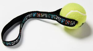 TCM Pets: Ball Toss Toy 