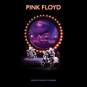 Delicate Sound Of Thunder  3LP , Pink Floyd