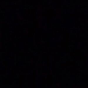 Leave A Scar [Explicit Content]