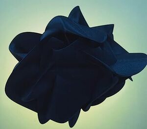 More Than Anything [Import]