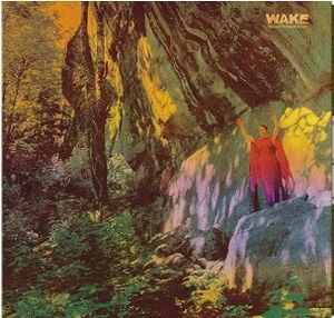 Thought Form Descent , The Wake