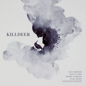 Killdeer , Nick Flynn