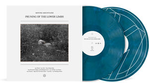 Pruning of the Lower Limbs - Atlantic Blue