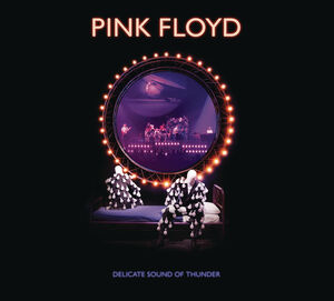 Delicate Sound Of Thunder 2CD , Pink Floyd