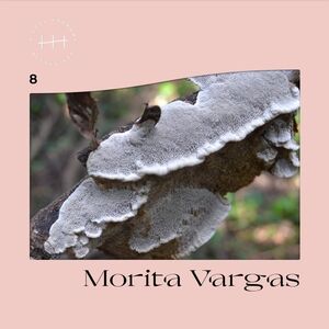8 , Morita Vargas