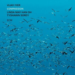 Compassion , Vijay Iyer