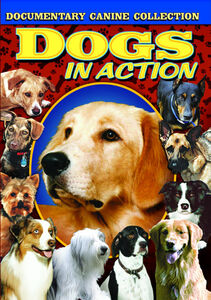 Dogs in Action