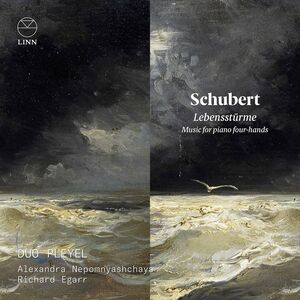 Lebenssturme , Duo Pleyel
