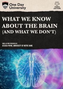 One Day University: What We Know About the Brain (And What We Don't)