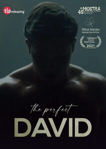 Perfect David