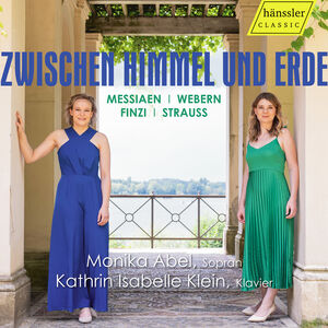 Strauss: Zwischen Himmel und Erde , Monika Abel