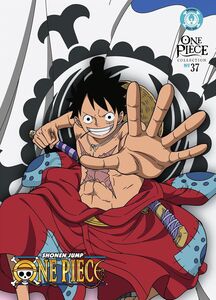 One Piece - Collection 37 , Brina Palencia