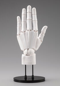 Artist Support Item - Hand Model - Mens Lg - White