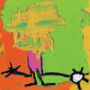 Shack-Man ( FLUORESCENT GREEN VINYL ) , Medeski Martin & Wood