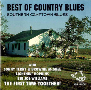 Best of Country Blues: Southern Camptown Blues , Various Artists