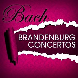 Brandenburg Concertos 