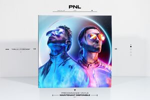 Deux Frhres , PNL
