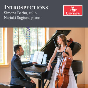 Drago, Fisher, Gable & Stark: Introspections , Simona Barbu