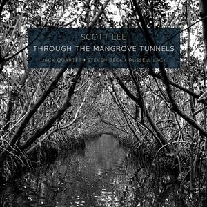 Through the Mangrove Tunnels