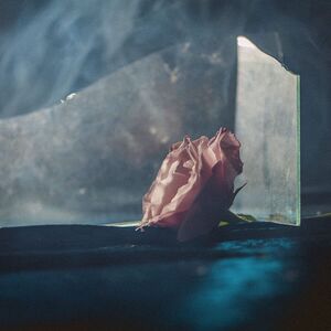 In Virus Times , Lee Ranaldo