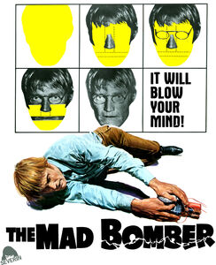 The Mad Bomber , Vince Edwards