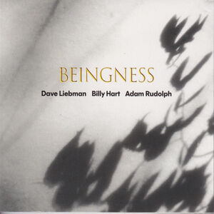Beingness , Dave Leibman