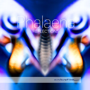 Reflections