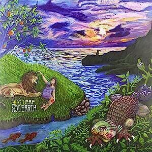Not Earth [Import]