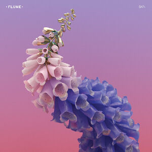 Skin (PINK VINYL) , Flume