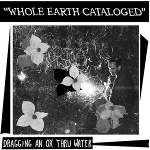Whole Earth Catalogued , Dragging An Ox Through Water