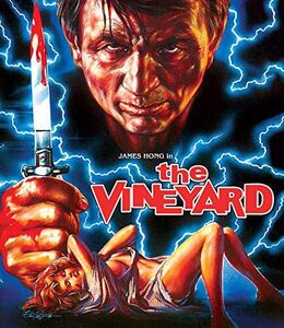 Vineyard