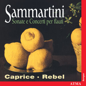 Flute Sonatas & Concerti , Rebel