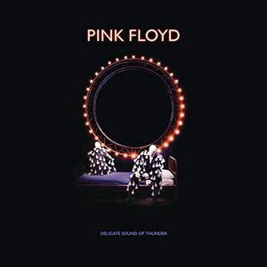 Delicate Sound Of Thunder Deluxe Box Set , Pink Floyd