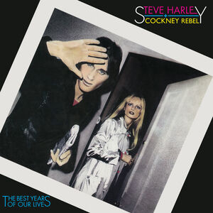 The Best Years of Our Lives [Definitive Edition] , Steve Harley