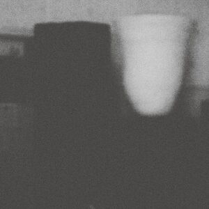 The Prosperity Of Vice, The Misfortune Of Virtue , Merzbow