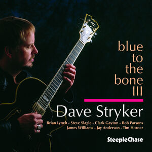 Blue To The Bone III , Dave Stryker