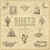Susto Stringband - Volume 2