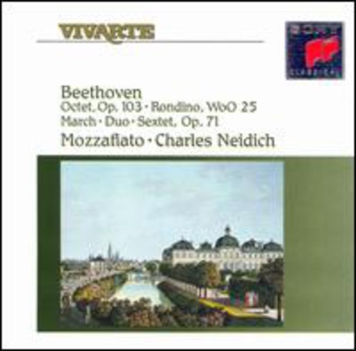 Chamber Music for Wind Instruments