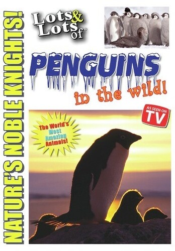 Lots and Lots of Penguin in the Wild
