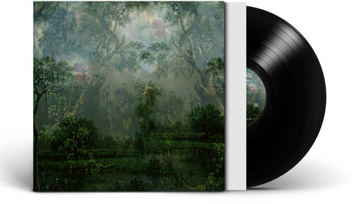 The Coloured Breeze Is a New Dimension