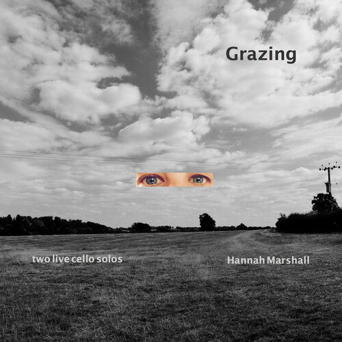 Hannah Marshall - Grazing vinyl record cover