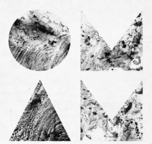 Of Monsters & Men - Beneath the Skin (graphite Grey Eco-mix Vinyl/2lp)