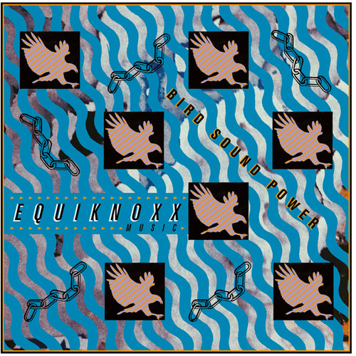 Equiknoxx - Bird Sound Power vinyl record cover