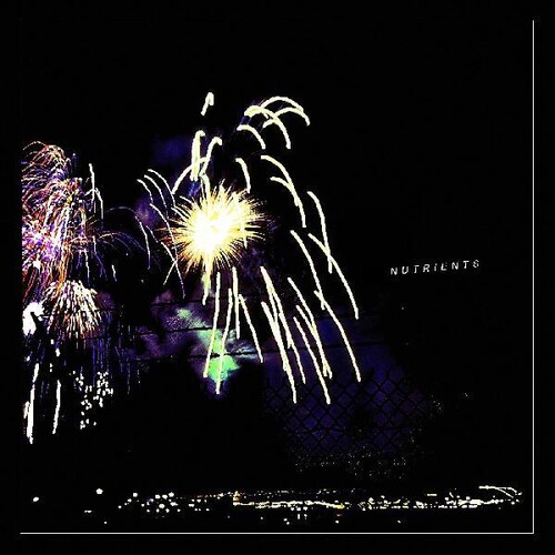 Nutrients - Different Bridges